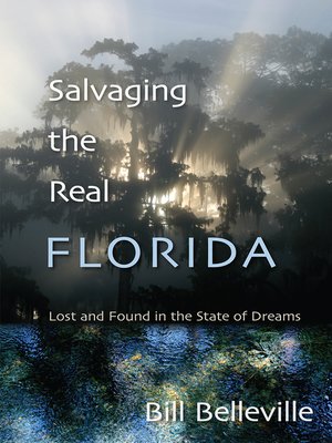 cover image of Salvaging the Real Florida